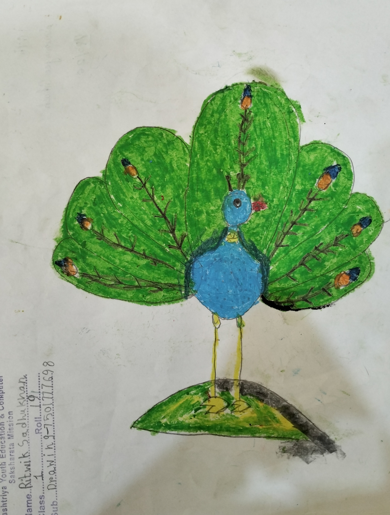 Drawing