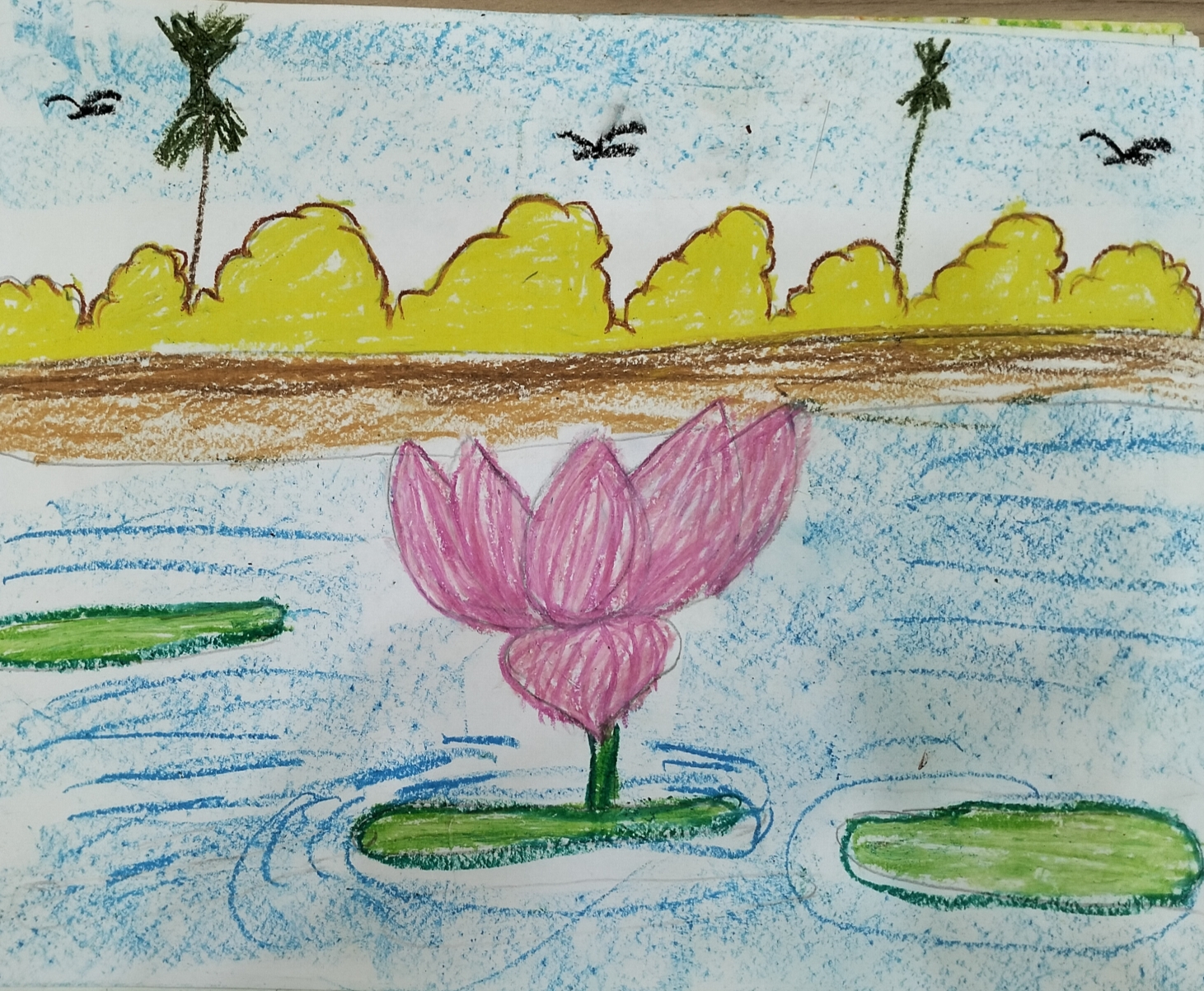 Drawing