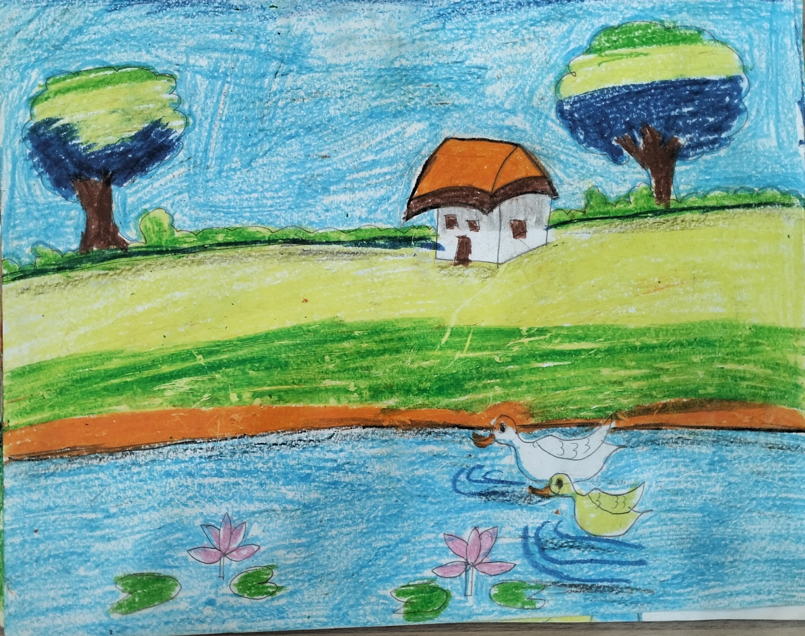 Drawing