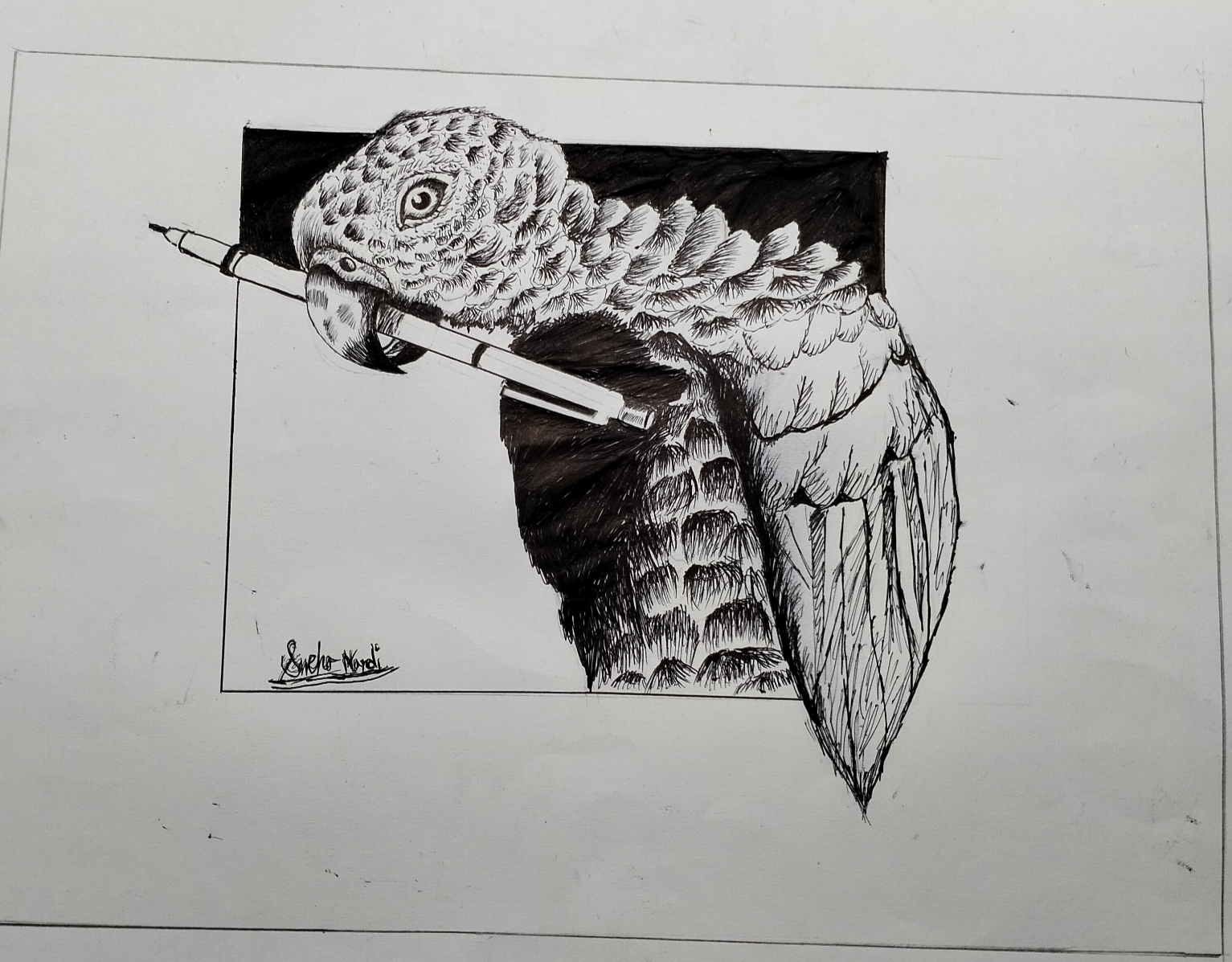 Drawing