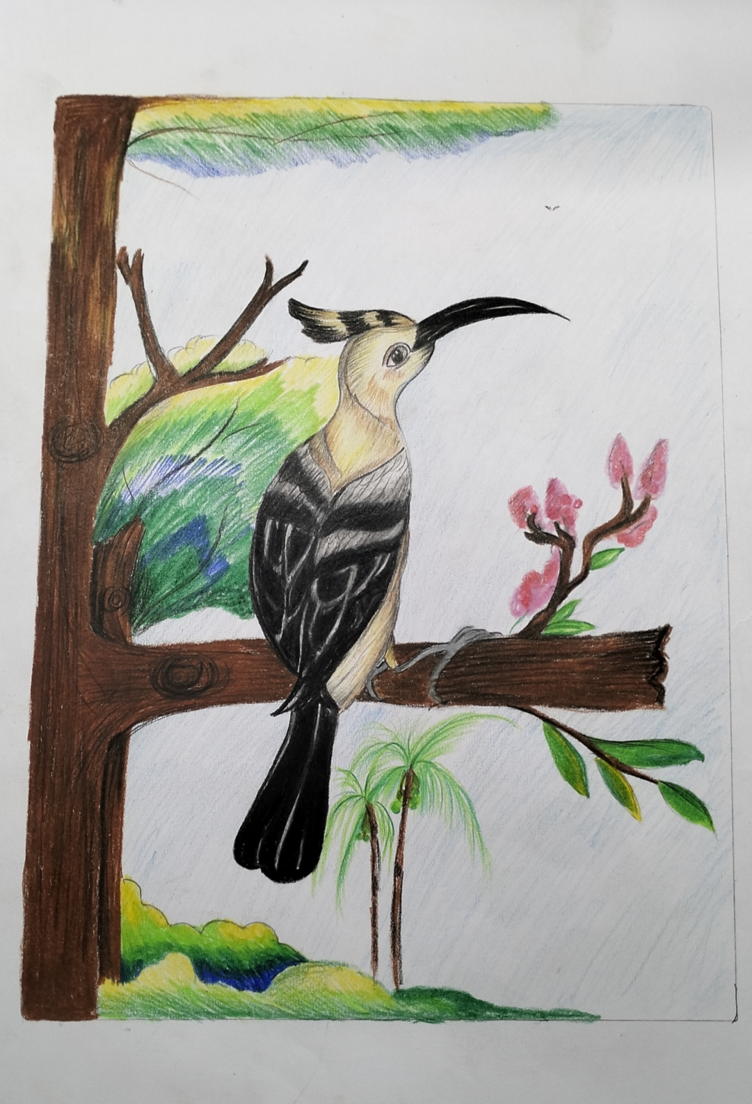 Drawing